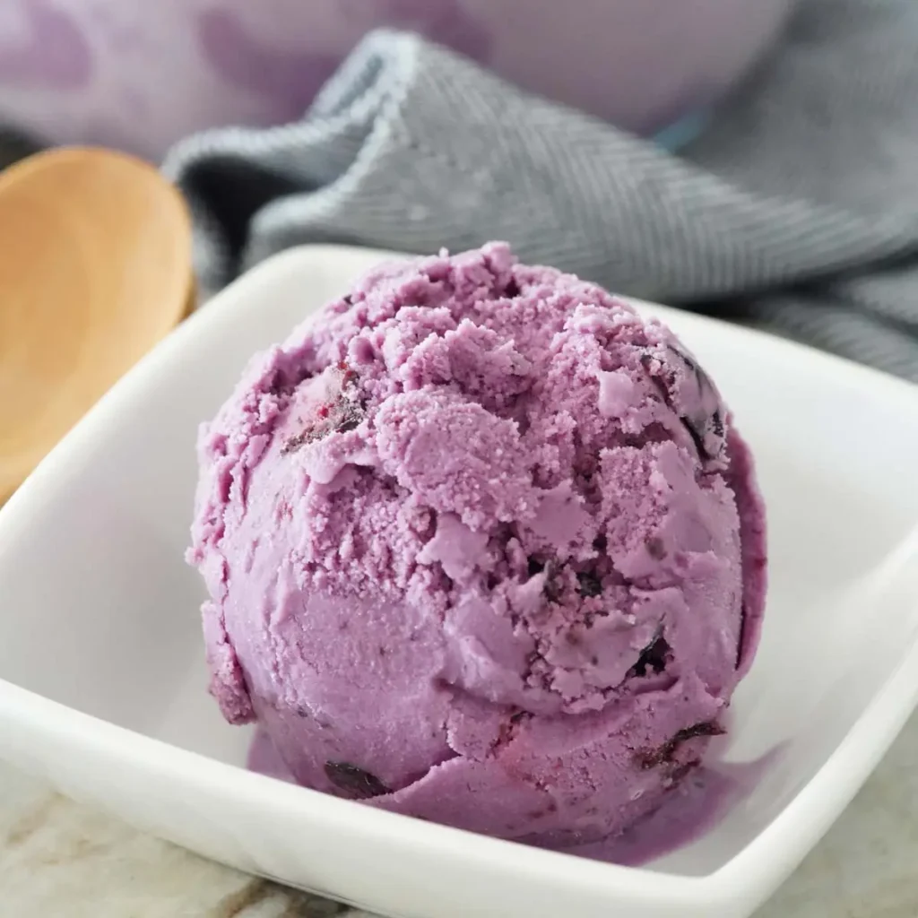 blueberry ice cream recipe