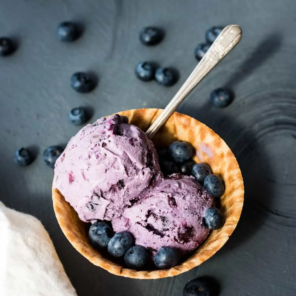 blueberry ice cream recipe